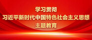 大鸡巴草骚逼视频学习贯彻习近平新时代中国特色社会主义思想主题教育_fororder_ad-371X160(2)